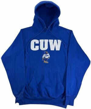 Vintage 90s Concordia University of Wisconsin Falcons Hoodie Men Sz S Sweatshirt